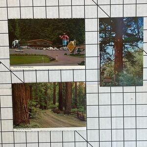 Vintage postcards (3) ca 1970's Shrine of Redwood Highway, Redwood Forest